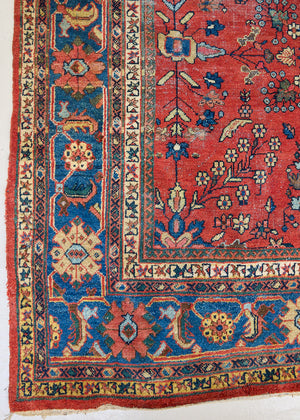Cassiopeia is a beautiful Mahal rug featuring an all over floral design on a vibrant red field. 