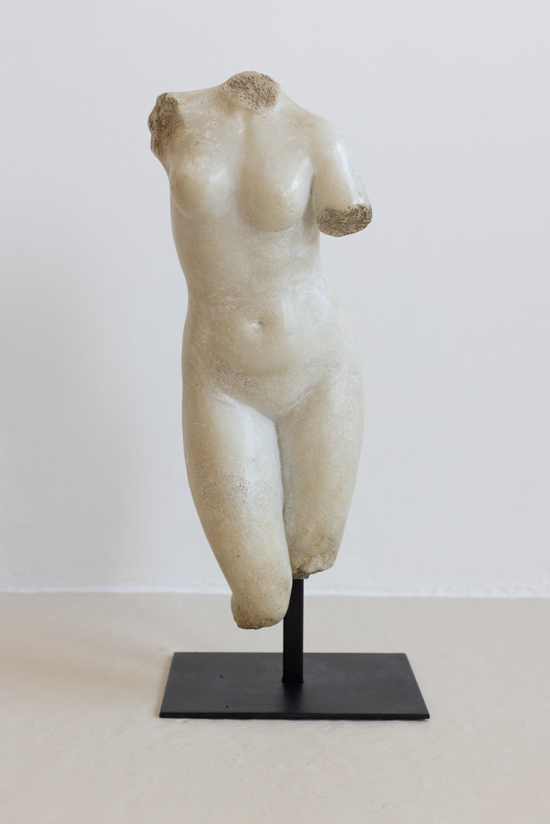 MARBLE TORSO