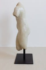 MARBLE TORSO