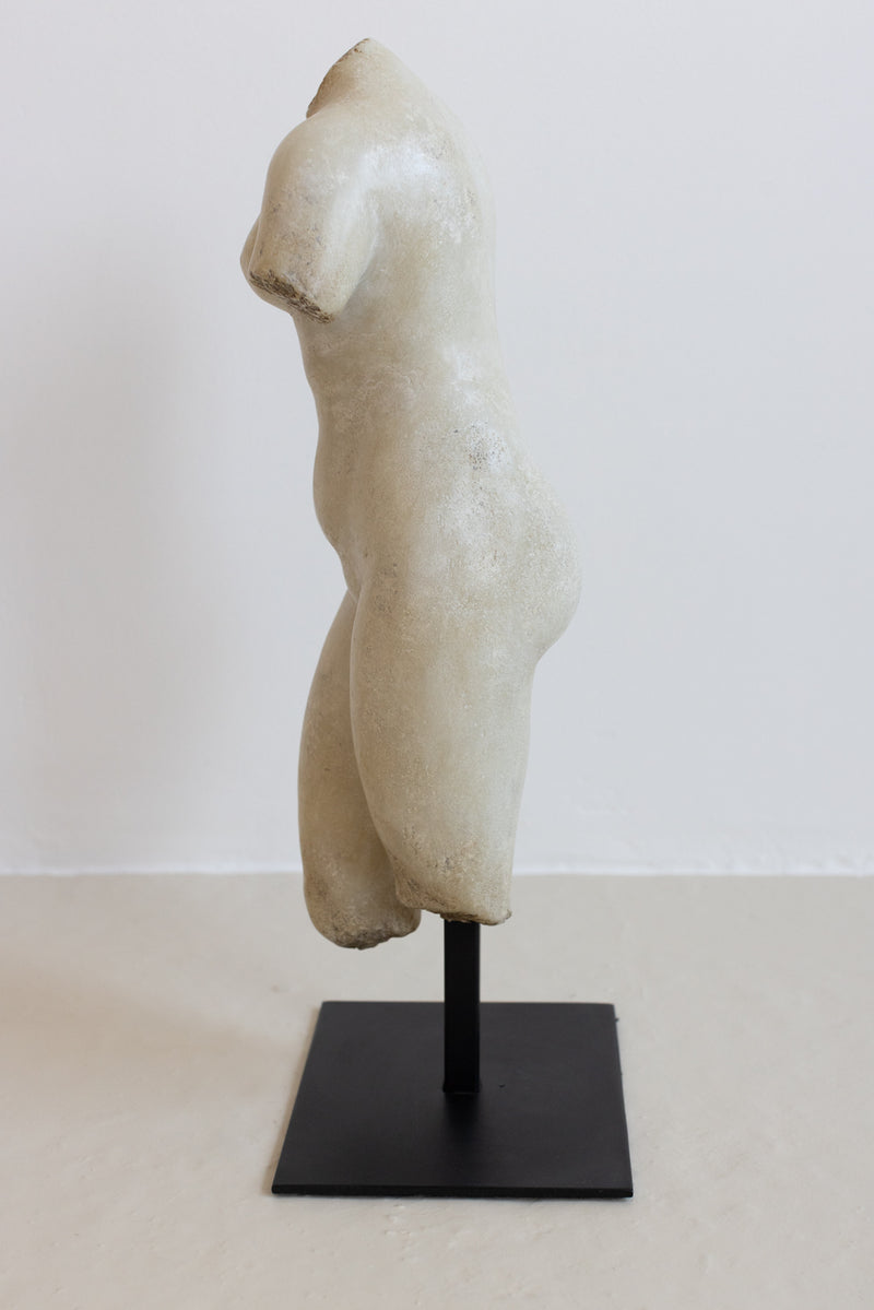 MARBLE TORSO