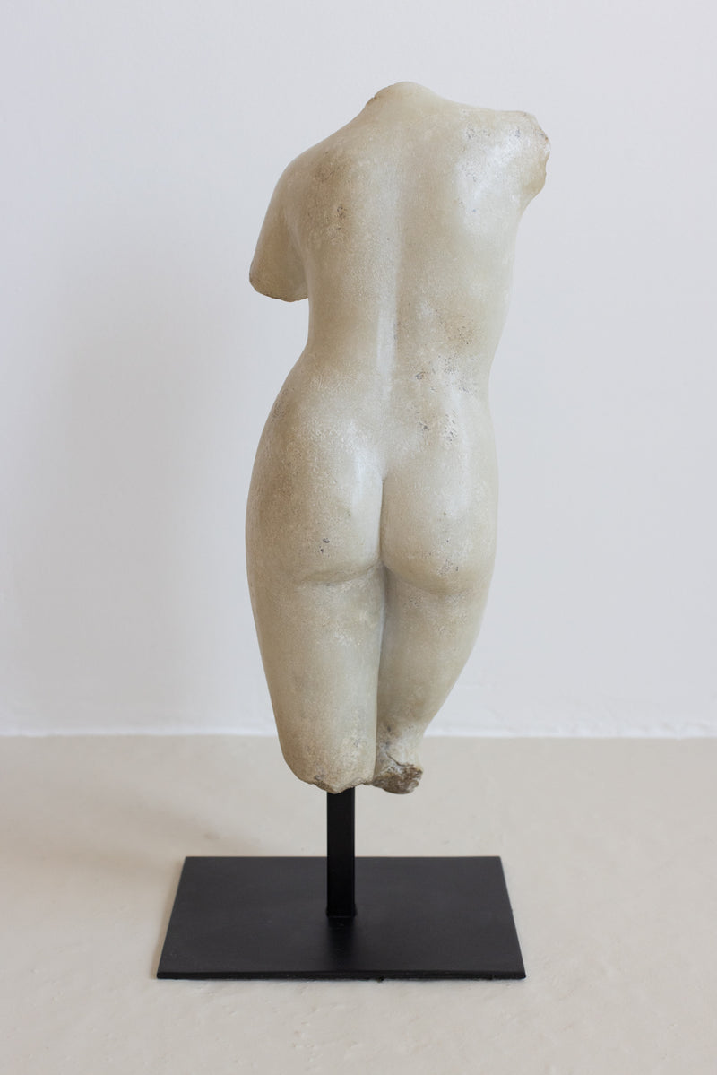 MARBLE TORSO
