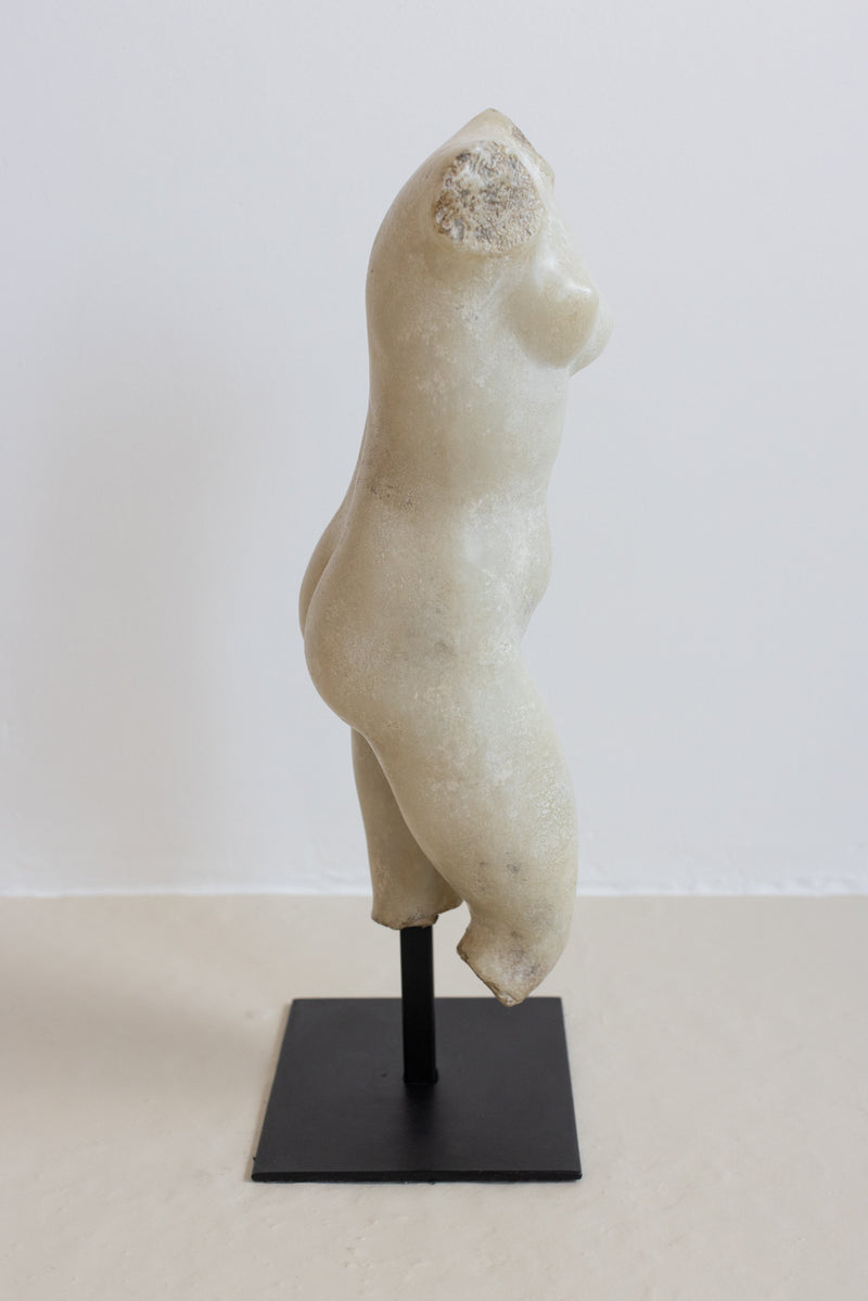 MARBLE TORSO