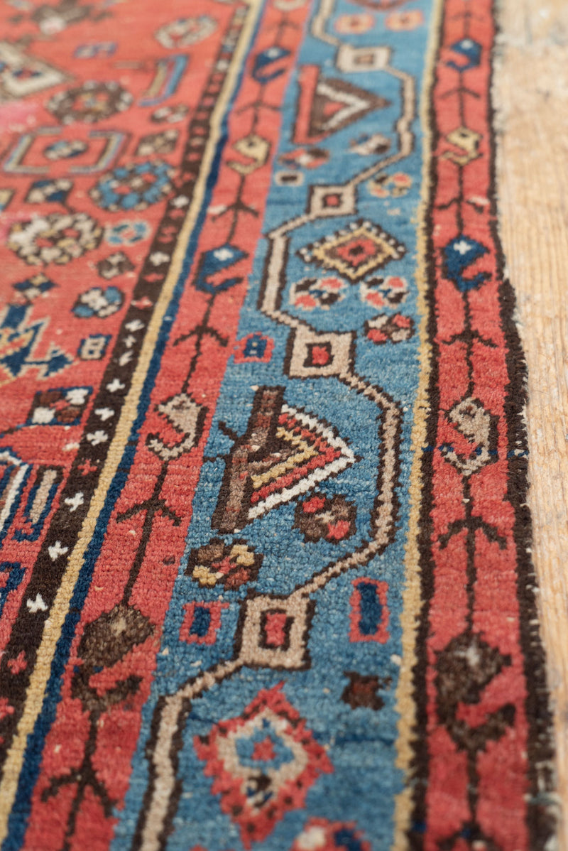 Helena rug with traditional Hamadan patterns - Strips Border