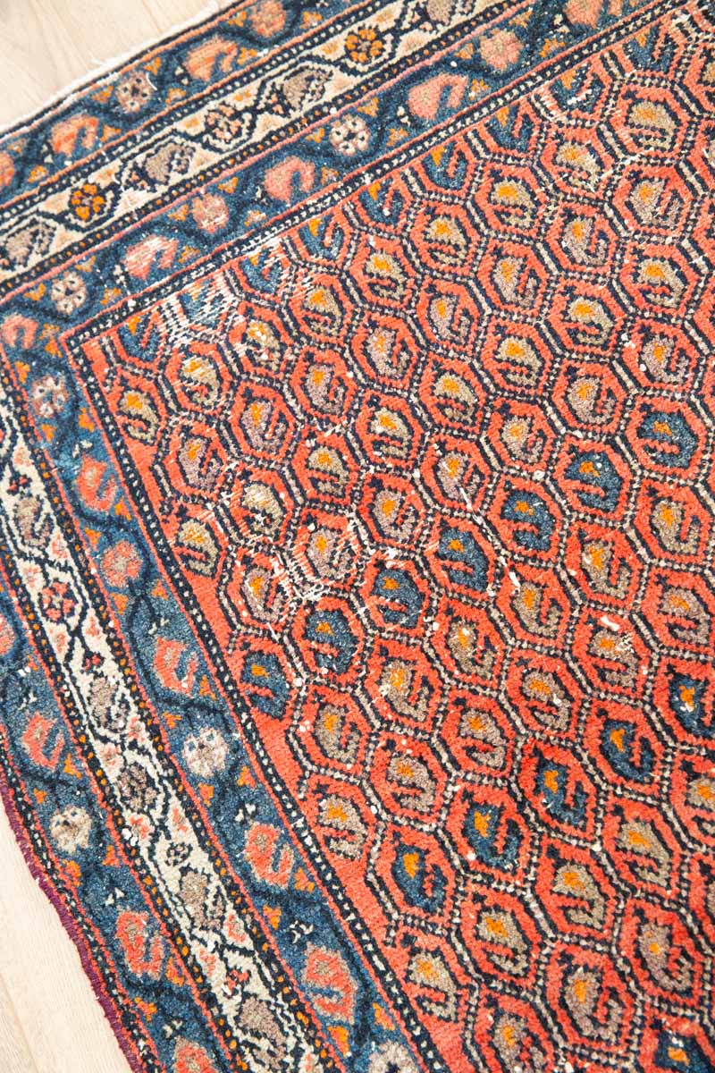 Traditional Maia Rug with Intricate Patterns - Field View