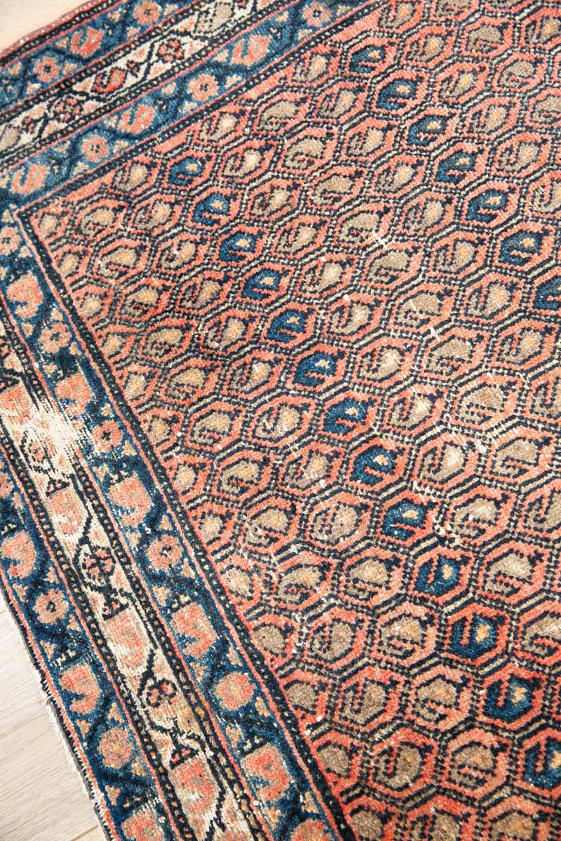 Maia Handmade Rug with Persian-Inspired Design and Intricate Patterns