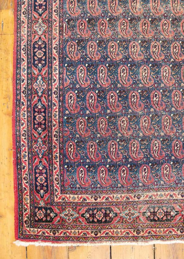 PAISLEY