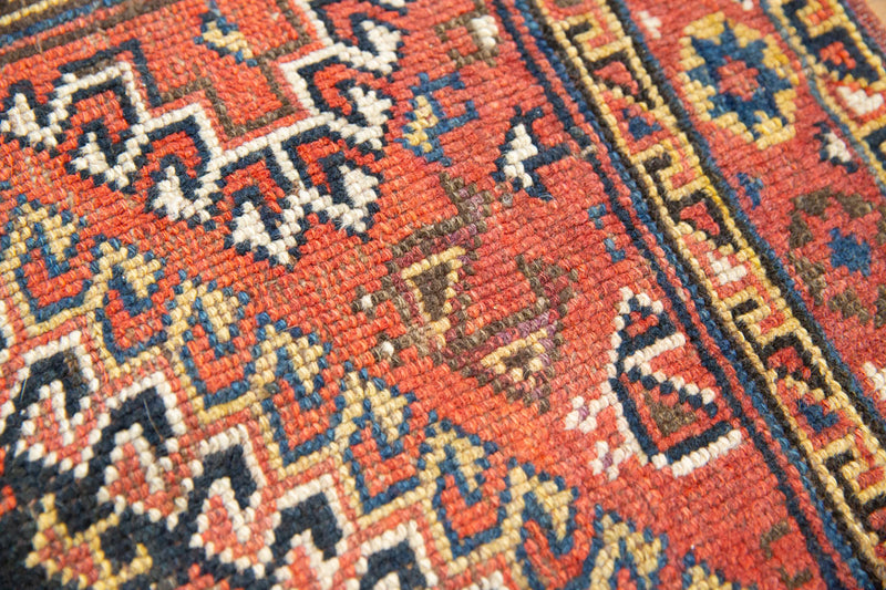 Antique Dolores Rug - Soft Natural Dyes, Intricate Designs - Field View