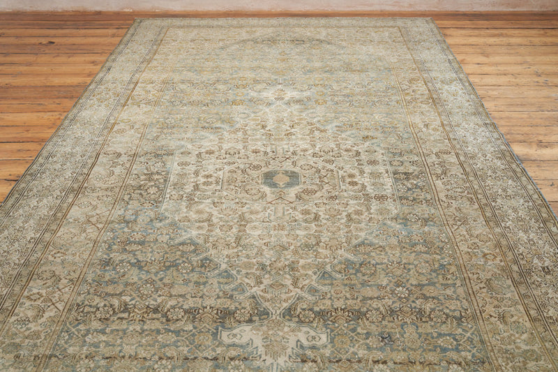 Esmerelda Rug with Faded Beauty and Intricate Patterns - Top View