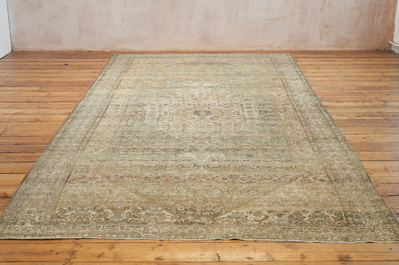 Faded Esmerelda Persian Rug with Lovely Muted Palette - Front View