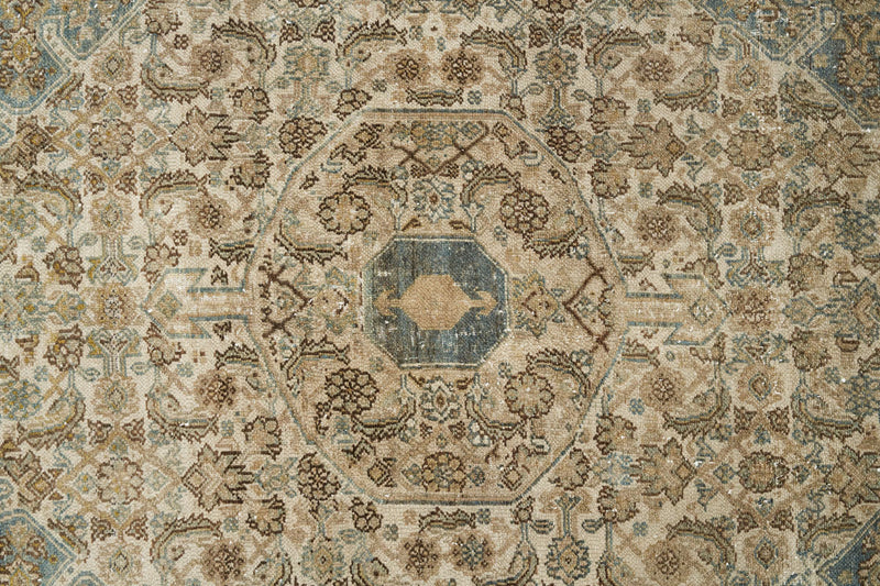 Esmerelda Rug - Faded Elegance with Muted Tones - Medilion View
