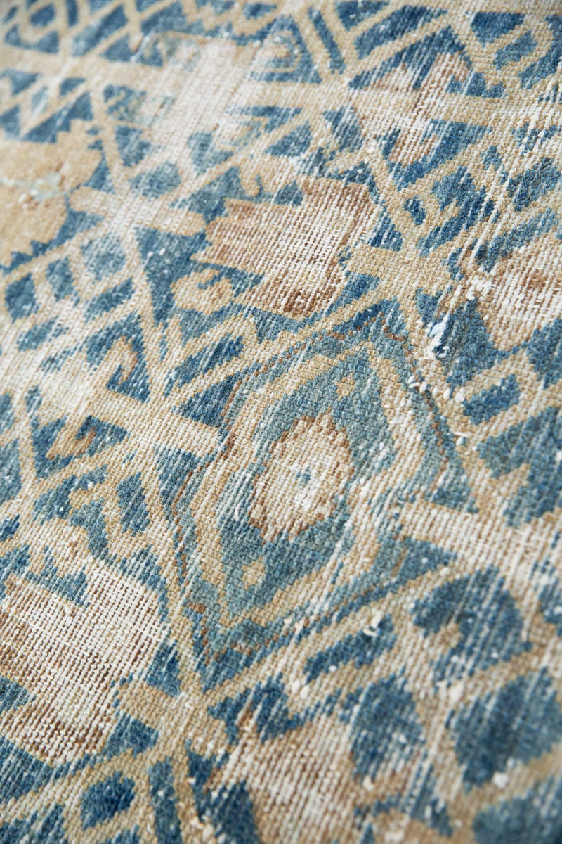Faded Nolan Persian Rug with Intricate Patterns, Origin - Malayer