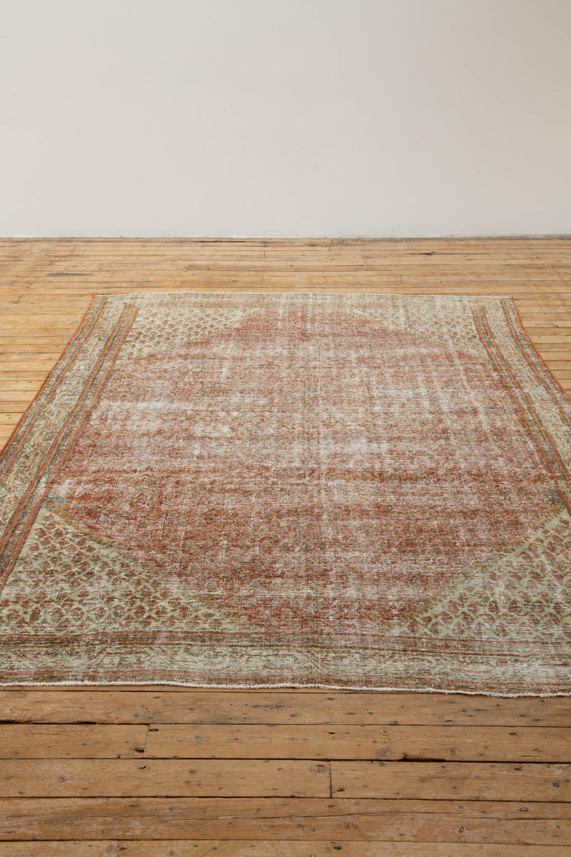 Antique Bella Rug with Faded and Soft Colors - Front View