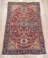 Highly Decorative Lana Rug - Handmade Persian Design - Front View