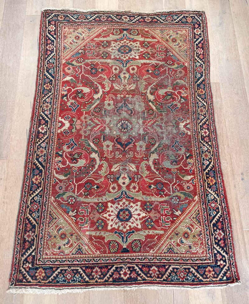 Highly Decorative Lana Rug - Handmade Persian Design - Front View