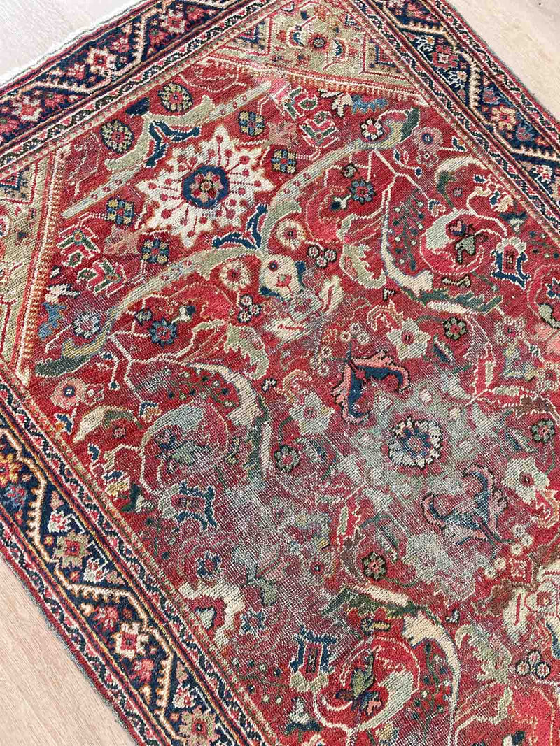 Lana - Handmade Mahal Rug with Decorative Designs - Top View