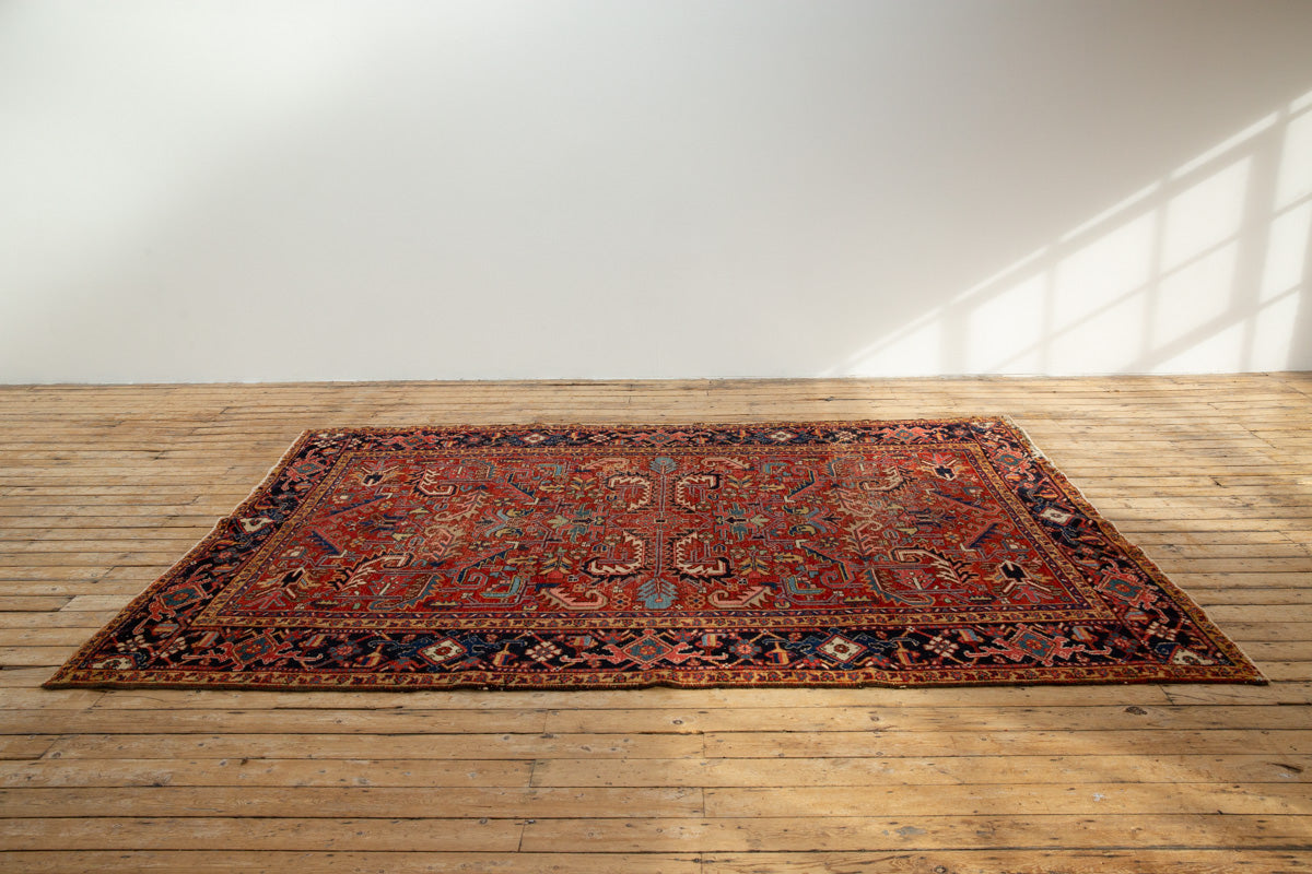 FRANCES